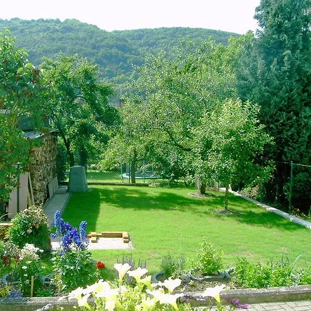 Hilger Apartment