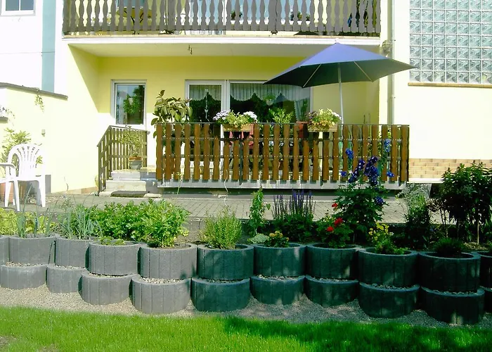 Hilger * トライス・カーデン